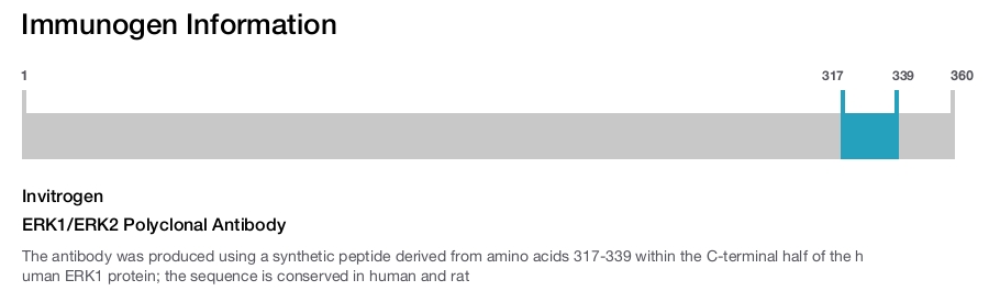 ERK1/ERK2 Polyclonal Antibody