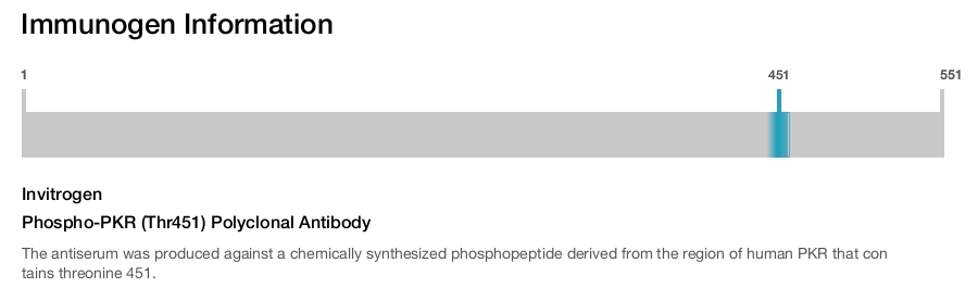 Phospho-PKR (Thr451) Polyclonal Antibody