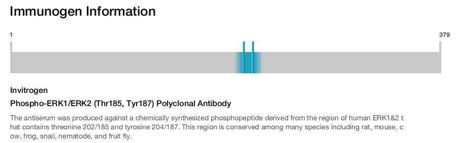 Phospho-ERK1/ERK2 (Thr185, Tyr187) Polyclonal Antibody