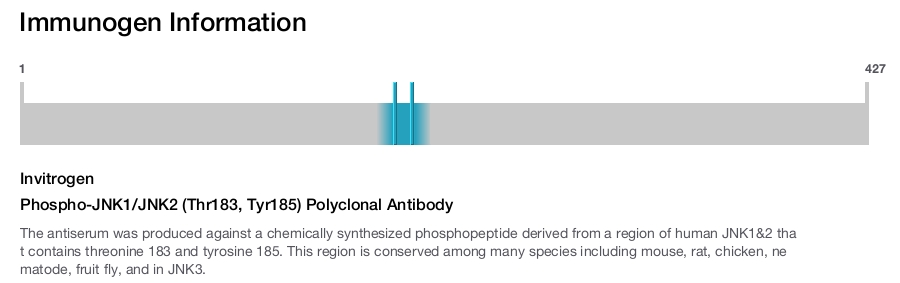 Phospho-JNK1/JNK2 (Thr183, Tyr185) Polyclonal Antibody