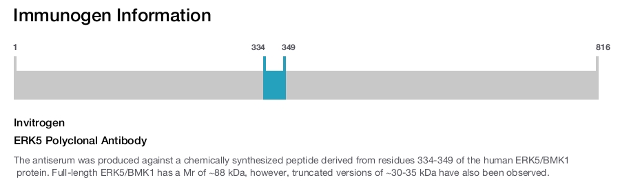 ERK5 Polyclonal Antibody