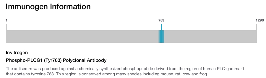 Phospho-PLCG1 (Tyr783) Polyclonal Antibody