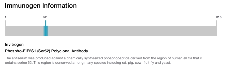 Phospho-EIF2S1 (Ser52) Polyclonal Antibody