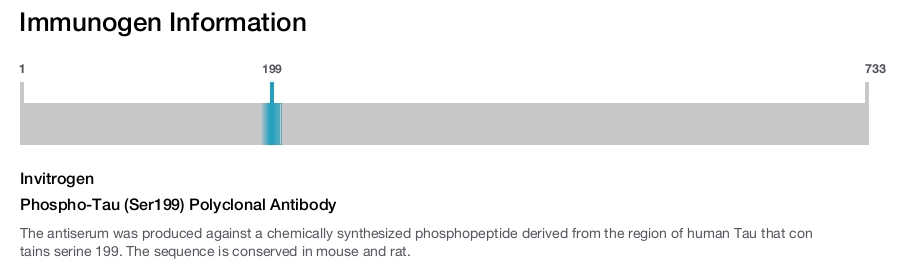Phospho-Tau (Ser199) Polyclonal Antibody