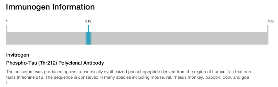 Phospho-Tau (Thr212) Polyclonal Antibody