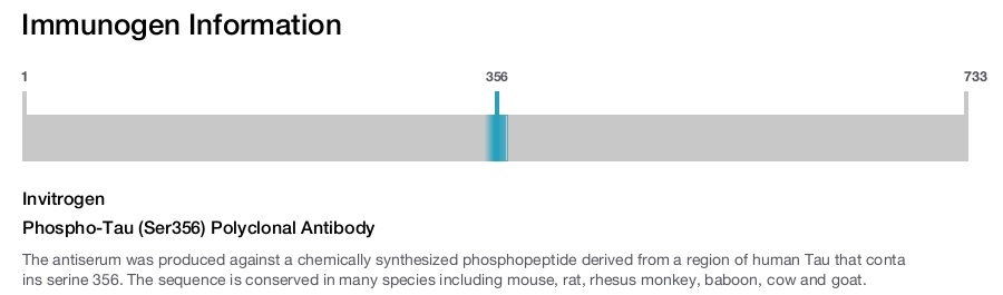 Phospho-Tau (Ser356) Polyclonal Antibody