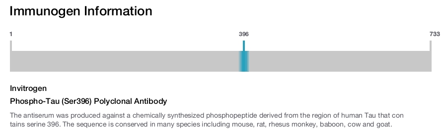 Phospho-Tau (Ser396) Polyclonal Antibody