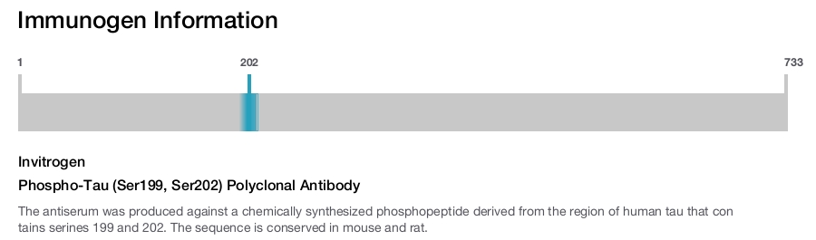 Phospho-Tau (Ser199, Ser202) Polyclonal Antibody