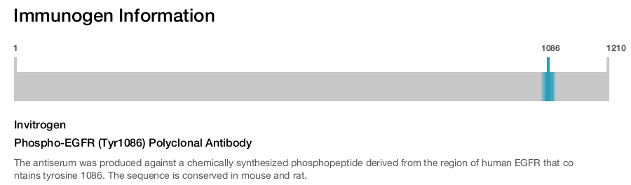 Phospho-EGFR (Tyr1086) Polyclonal Antibody