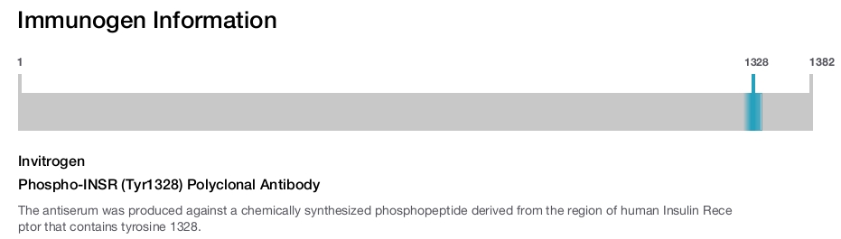 Phospho-INSR (Tyr1328) Polyclonal Antibody