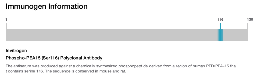 Phospho-PEA15 (Ser116) Polyclonal Antibody