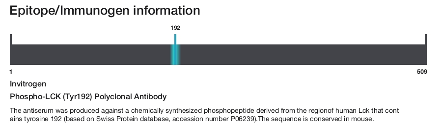 Phospho-LCK (Tyr192) Polyclonal Antibody