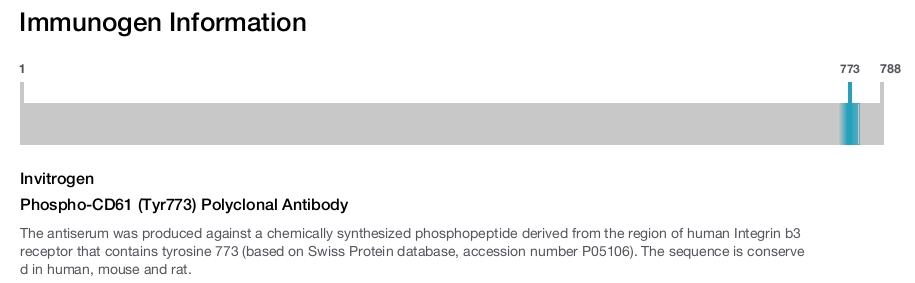 Phospho-CD61 (Tyr773) Polyclonal Antibody