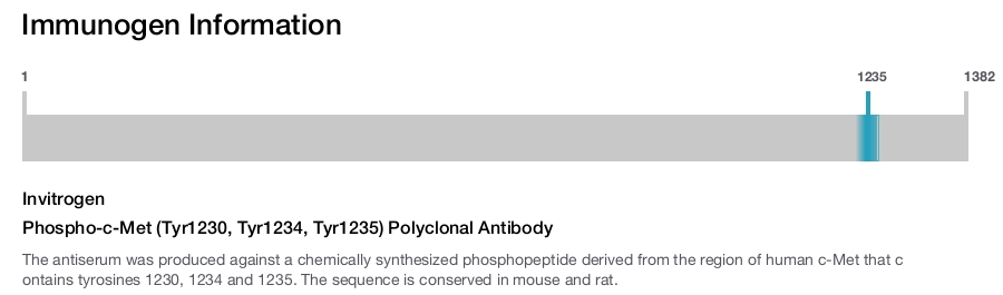 Phospho-c-Met (Tyr1230, Tyr1234, Tyr1235) Polyclonal Antibody