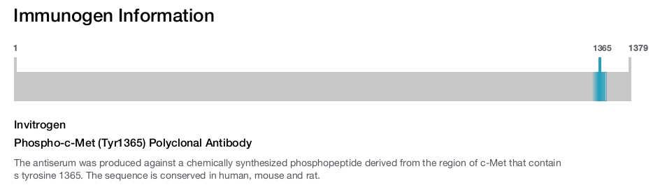 Phospho-c-Met (Tyr1365) Polyclonal Antibody