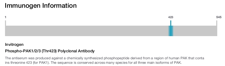Phospho-PAK1/2/3 (Thr423) Polyclonal Antibody