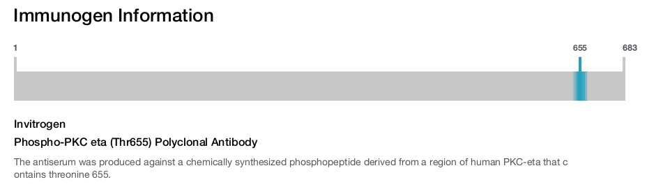 Phospho-PKC eta (Thr655) Polyclonal Antibody