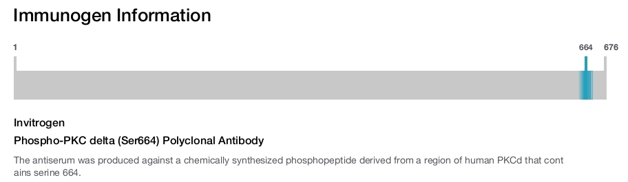 Phospho-PKC delta (Ser664) Polyclonal Antibody