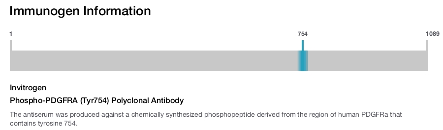 Phospho-PDGFRA (Tyr754) Polyclonal Antibody
