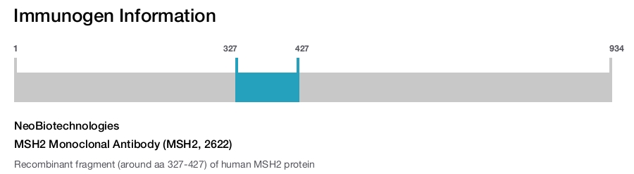 MSH2 Monoclonal Antibody (MSH2, 2622)