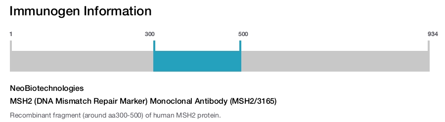 MSH2 (DNA Mismatch Repair Marker) Monoclonal Antibody (MSH2/3165)