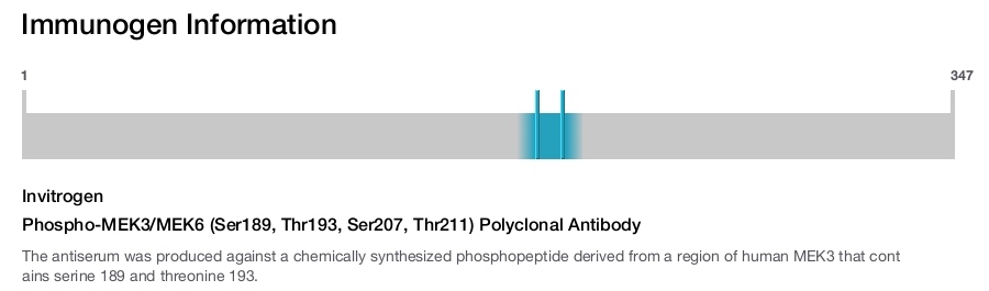 Phospho-MEK3/MEK6 (Ser189, Thr193, Ser207, Thr211) Polyclonal Antibody