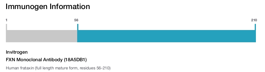 FXN Monoclonal Antibody (18A5DB1)
