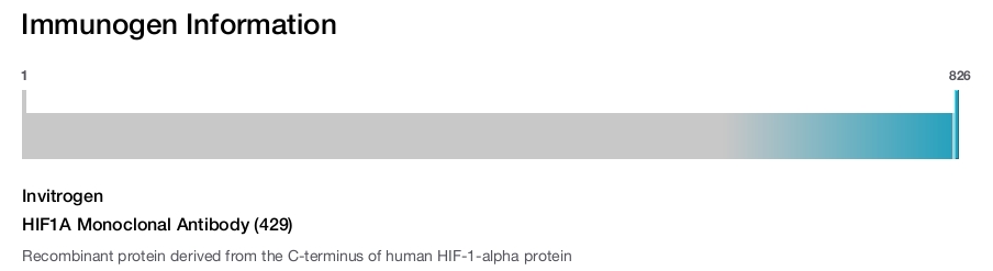 HIF1A Monoclonal Antibody (429)