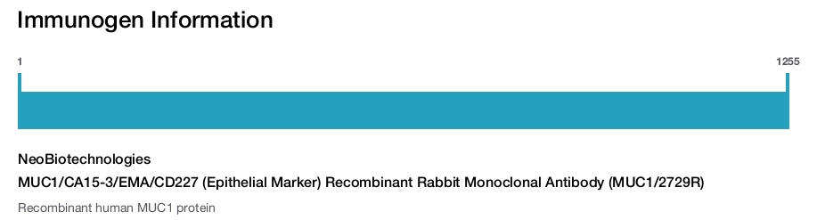 MUC1/CA15-3/EMA/CD227 (Epithelial Marker) Recombinant Rabbit Monoclonal Antibody (MUC1/2729R)