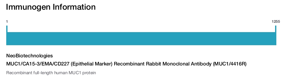 MUC1/CA15-3/EMA/CD227 (Epithelial Marker) Recombinant Rabbit Monoclonal Antibody (MUC1/4416R)