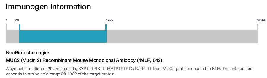 MUC2 (Mucin 2) Recombinant Mouse Monoclonal Antibody (rMLP, 842)