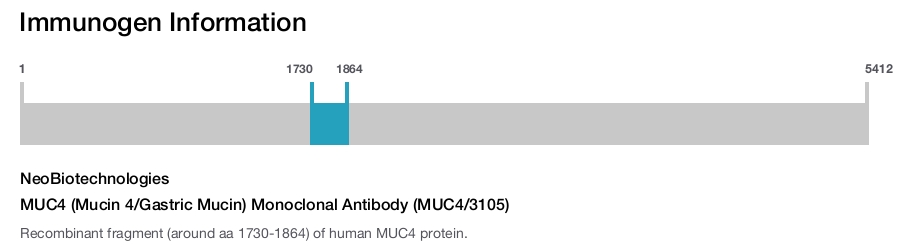 MUC4 (Mucin 4/Gastric Mucin) Monoclonal Antibody (MUC4/3105)