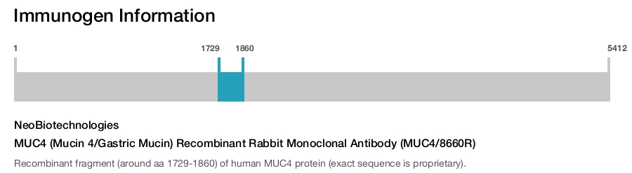MUC4 (Mucin 4/Gastric Mucin) Recombinant Rabbit Monoclonal Antibody (MUC4/8660R)