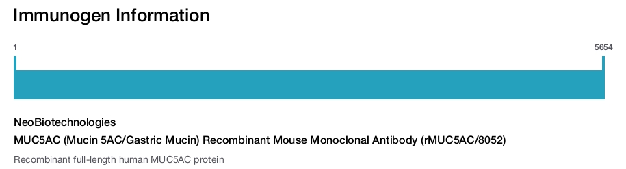 MUC5AC (Mucin 5AC/Gastric Mucin) Recombinant Mouse Monoclonal Antibody (rMUC5AC/8052)