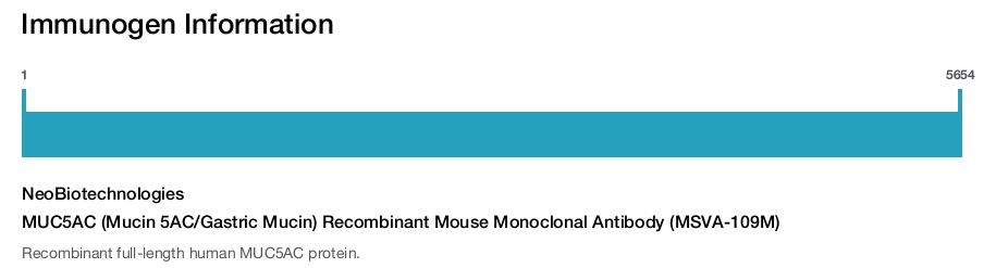 MUC5AC (Mucin 5AC/Gastric Mucin) Recombinant Mouse Monoclonal Antibody (MSVA-109M)
