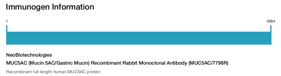 MUC5AC (Mucin 5AC/Gastric Mucin) Recombinant Rabbit Monoclonal Antibody (MUC5AC/7798R)