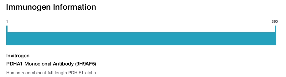PDHA1 Monoclonal Antibody (9H9AF5)