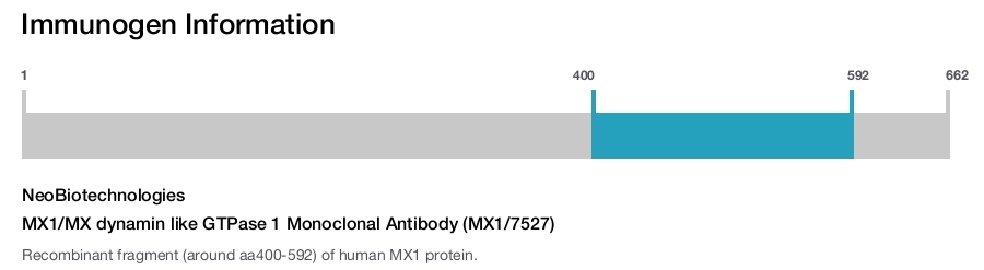 MX1/MX dynamin like GTPase 1 Monoclonal Antibody (MX1/7527)