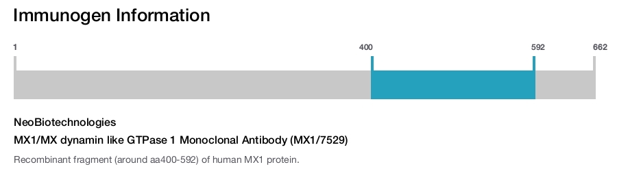 MX1/MX dynamin like GTPase 1 Monoclonal Antibody (MX1/7529)