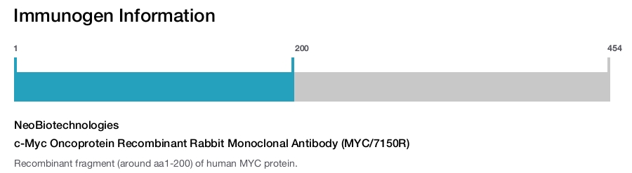 c-Myc Oncoprotein Recombinant Rabbit Monoclonal Antibody (MYC/7150R)