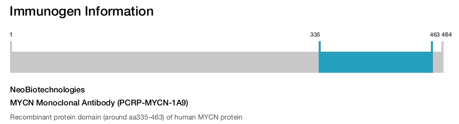 MYCN Monoclonal Antibody (PCRP-MYCN-1A9)