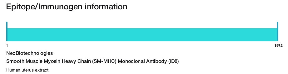 Smooth Muscle Myosin Heavy Chain (SM-MHC) Monoclonal Antibody (ID8)