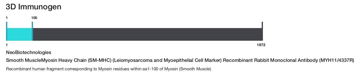 Smooth MuscleMyosin Heavy Chain (SM-MHC) (Leiomyosarcoma and Myoepithelial Cell Marker) Recombinant Rabbit Monoclonal Antibody (MYH11/4337R)