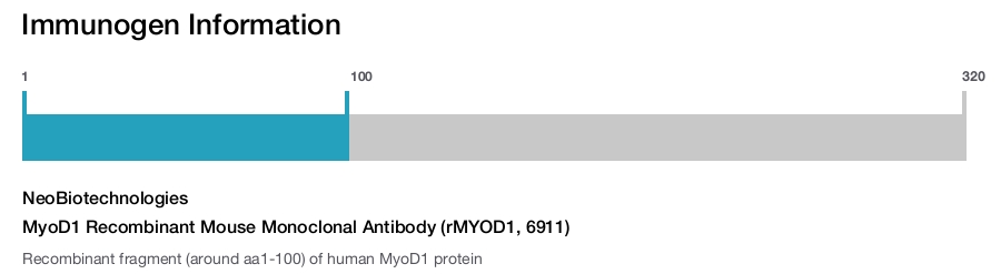 MyoD1 Recombinant Mouse Monoclonal Antibody (rMYOD1, 6911)