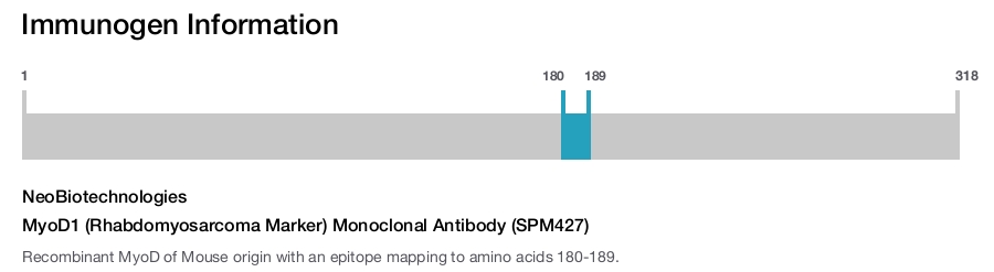 MyoD1 (Rhabdomyosarcoma Marker) Monoclonal Antibody (SPM427)