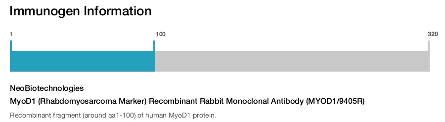 MyoD1 (Rhabdomyosarcoma Marker) Recombinant Rabbit Monoclonal Antibody (MYOD1/9405R)