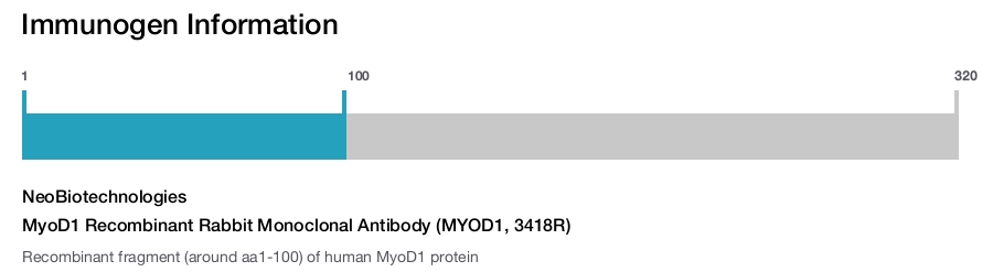 MyoD1 Recombinant Rabbit Monoclonal Antibody (MYOD1, 3418R)