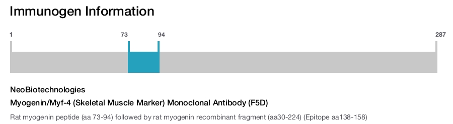 Myogenin/Myf-4 (Skeletal Muscle Marker) Monoclonal Antibody (F5D)