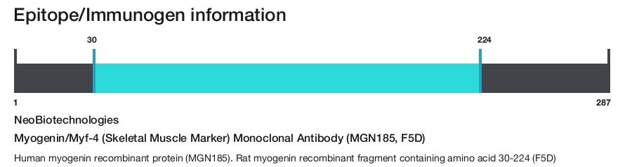 Myogenin/Myf-4 (Skeletal Muscle Marker) Monoclonal Antibody (MGN185, F5D)