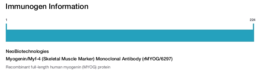 Myogenin/Myf-4 (Skeletal Muscle Marker) Monoclonal Antibody (rMYOG/6297)